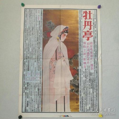 一比一仿智利驾驶证